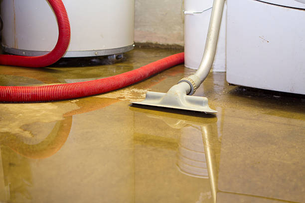 Best Water damage restoration cost  in Ayden, NC