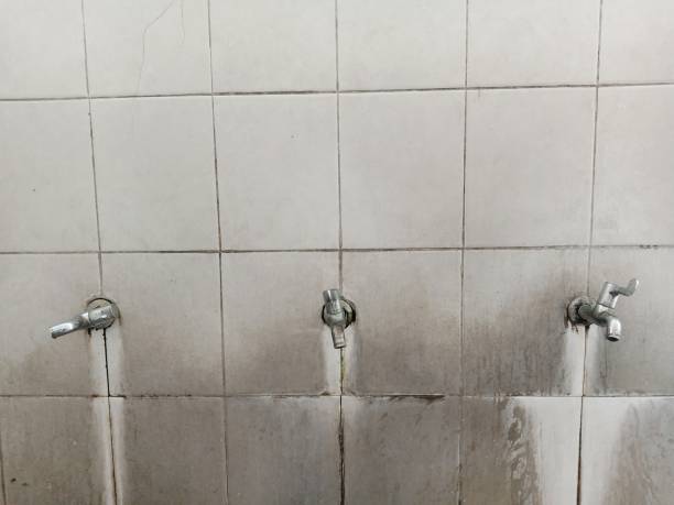 Best Flood damage cleanup  in Ayden, NC