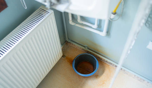  Ayden, NC Water damage restoration Pros