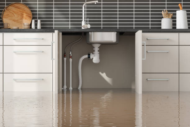 Best Flooded house restoration  in Ayden, NC