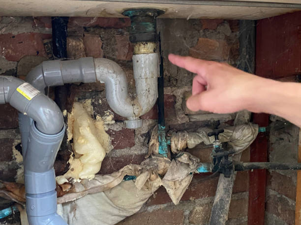Best Water damage restoration near me  in Ayden, NC